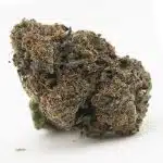 Grease Monkey AAA - Indica
