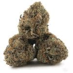 Grease Monkey AAA - Indica - Image 2
