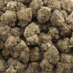 Grease Monkey AAA - Indica - Image 3