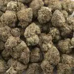 Grease Monkey AAA - Indica - Image 3