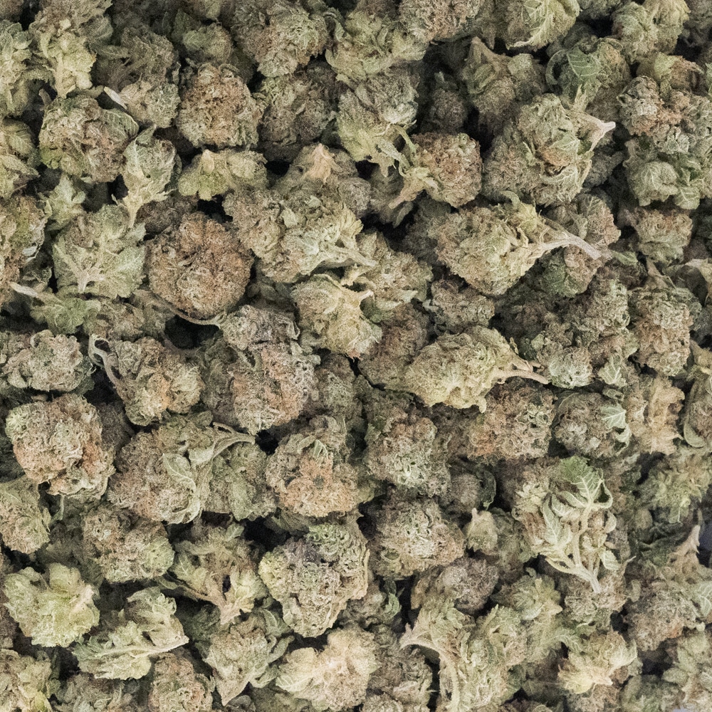 buy-weed-online-dispensary-indica-blue-afghani-aaa-popcorn-wholesale.jpg Blue Afghani AAA Popcorn - Indica - Image 1