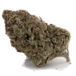 Tuna Kush AA - Indica