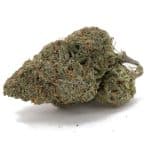 Nuken AAA - Indica