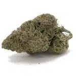 Nuken AAA - Indica