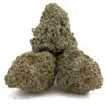 Nuken AAA - Indica - Image 2