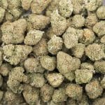 Nuken AAA - Indica - Image 3