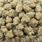 Pink Champagne AAA - Indica - Image 3