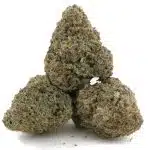 Jack Herer AA - Sativa - Image 2