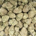 Jack Herer AA - Sativa - Image 3