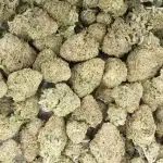 Jack Herer AA - Sativa - Image 3