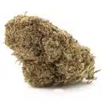 Sensi Star AA - Indica