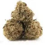 Sensi Star AA - Indica - Image 2