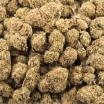 Sensi Star AA - Indica - Image 3