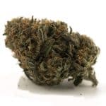 Boy Scout Cookie A - Hybrid