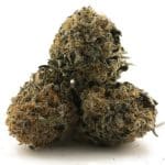 Boy Scout Cookie A - Hybrid - Image 2
