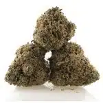 Cherry Thunder Fuck AAA - Indica - Image 2