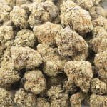 Cherry Thunder Fuck AAA - Indica - Image 3