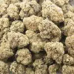 Cherry Thunder Fuck AAA - Indica - Image 3