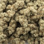 Chunk Norris AAA - Indica - Image 3