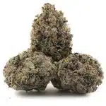 Blue Rhino AAAA - Indica - Image 2