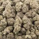 Blue Rhino AAAA - Indica - Image 3
