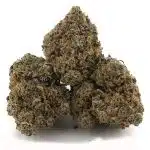 Pennywise AA - Indica - Image 2