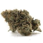 Platinum Romulan AAA - Indica