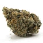 Unicorn Tears AAA - Indica