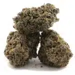 Blue Mammoth Craft - Indica - Image 2