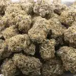 Blue Mammoth Craft - Indica - Image 3
