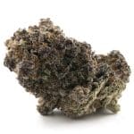 GMO Rootbeer Craft - Indica
