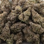 GMO Rootbeer Craft - Indica - Image 3