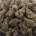 GMO Rootbeer Craft - Indica - Image 3