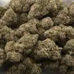 California Snow Craft - Indica - Image 3