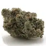 Grand Blueberry Pie Craft - Indica