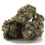 Grand Blueberry Pie Craft - Indica - Image 2