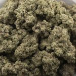 Grand Blueberry Pie Craft - Indica - Image 3