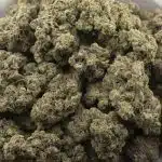 Grand Blueberry Pie Craft - Indica - Image 3