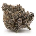 Orange Candy Craft - Sativa