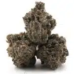 Orange Candy Craft - Sativa - Image 2