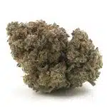 Bear Dance AA - Sativa