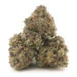 Bear Dance AA - Sativa - Image 2