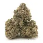 Bear Dance AA - Sativa - Image 2
