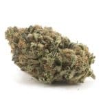 Bodega Bubblegum AAAA - Hybrid