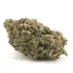 Bodega Bubblegum AAAA - Hybrid