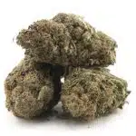 Bodega Bubblegum AAAA - Hybrid - Image 2