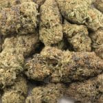 Bodega Bubblegum AAAA - Hybrid - Image 3