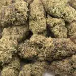 Bodega Bubblegum AAAA - Hybrid - Image 3