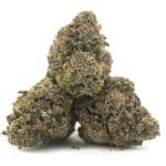 Captain Kush AAAA - Hybrid - Image 2