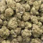 Captain Kush AAAA - Hybrid - Image 3